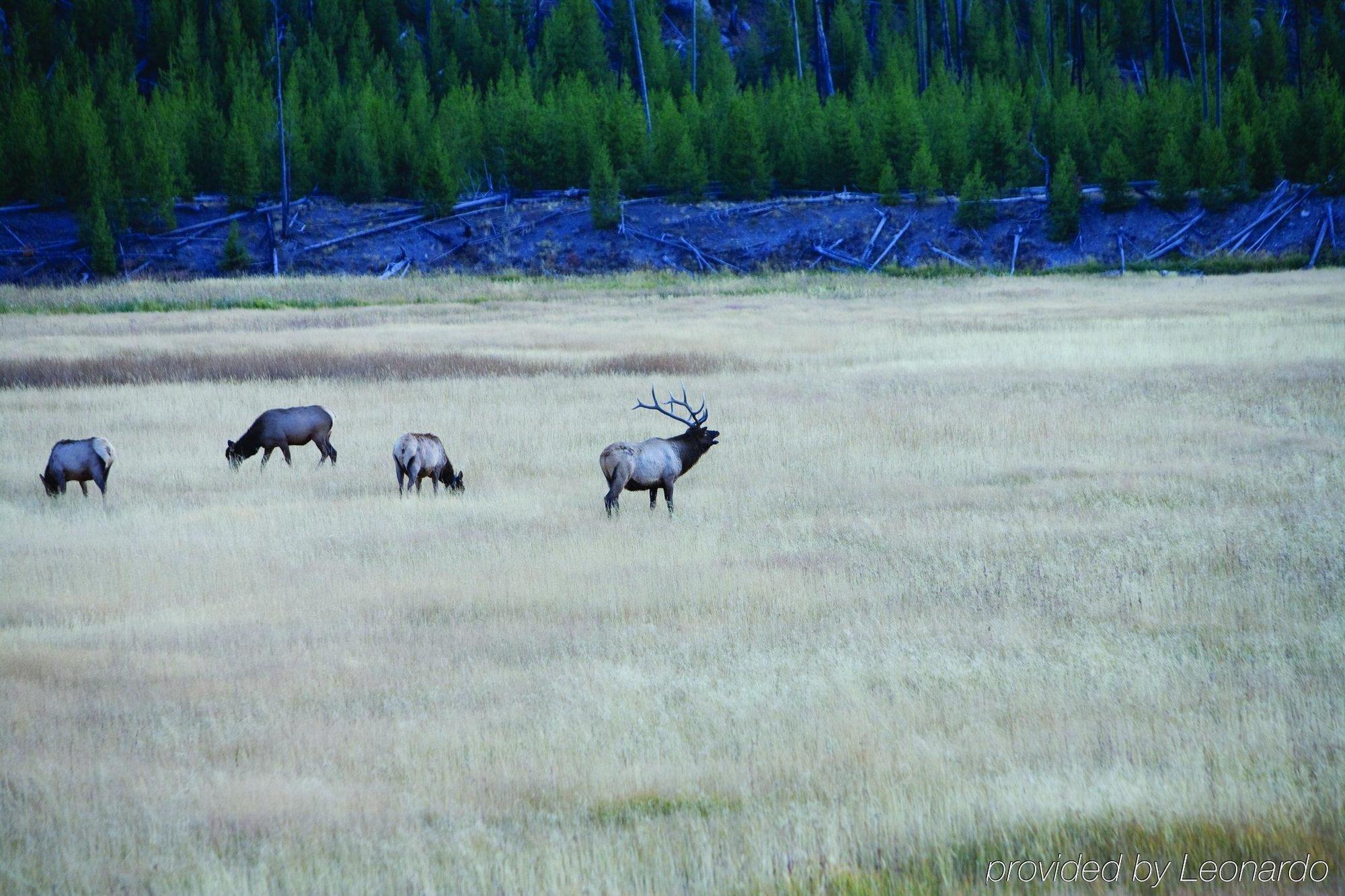 Worldmark West Yellowstone Esterno foto